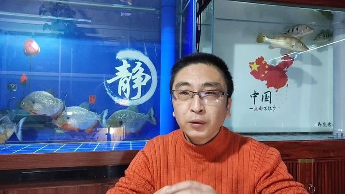 回复鱼都扎堆在鱼缸的一角,什么情况？：鱼在鱼缸一角扎堆可能由多种因素引起，鱼缸惊吓后如何安抚