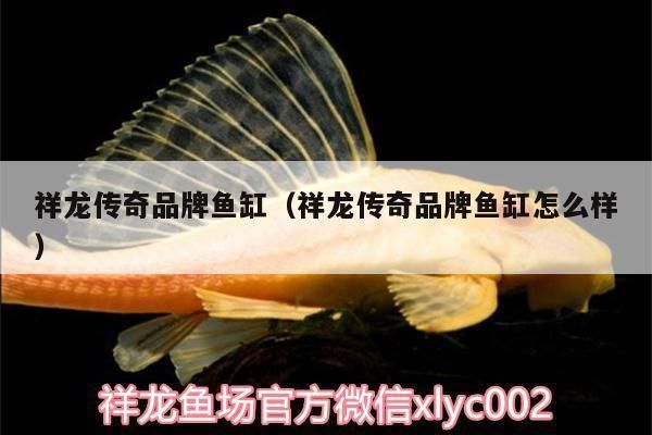 祥龙电器鱼缸价格表：祥龙电器鱼缸价格信息整理祥龙电器鱼缸价格表 鱼缸百科 第3张