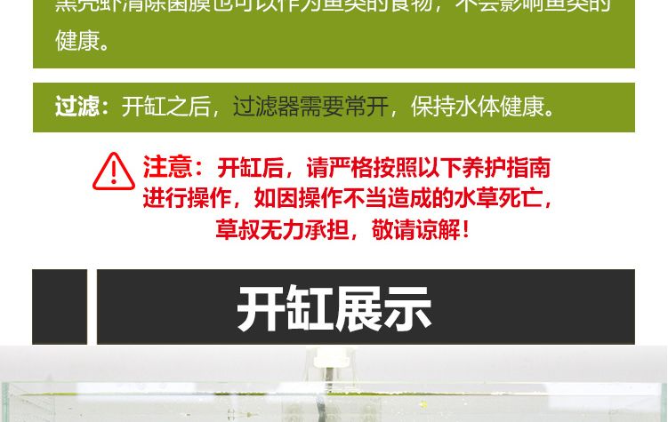 鱼缸莫斯树好养吗：鱼缸莫斯树养殖常见问题，