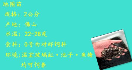 喂养龙鱼的方法：喂养龙鱼的关键是提供合适的食物并注意水质和环境