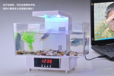 鱼缸产品：未来鱼缸产品的发展趋势和技术革新方向 鱼缸百科 第2张