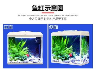 鱼缸产品：未来鱼缸产品的发展趋势和技术革新方向 鱼缸百科 第5张