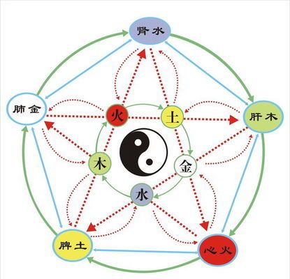 金龙鱼观赏价值排名表：关于金龙鱼观赏价值的一些疑问 水族问答 第2张