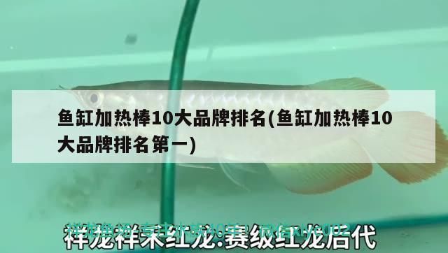 鱼缸加热棒10大品牌排名：鱼缸加热棒10大品牌排名森森集团有限公司百因美