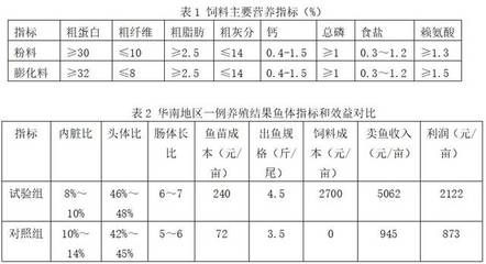 金龙鱼冠军J神：关于“金龙鱼冠军j神”的疑问 水族问答 第2张