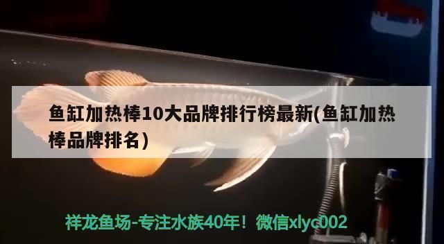 鱼缸加热棒十大品牌排名：2024年鱼缸加热棒十大品牌 鱼缸百科 第1张