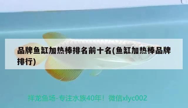 鱼缸加热棒十大品牌排名：2024年鱼缸加热棒十大品牌 鱼缸百科 第2张