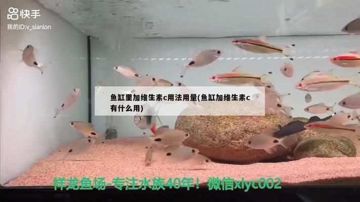 鱼缸vc的使用方法：维生素c在鱼缸中的应用 鱼缸百科 第2张