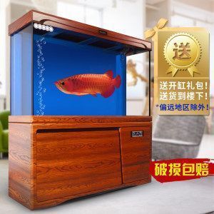 什么品牌的龙鱼缸设计的好用：知名品牌龙鱼缸设计特点及其优缺点及其优缺点 鱼缸百科 第3张