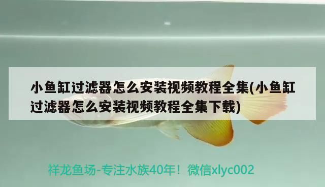 小鱼缸过滤器安装方法：小鱼缸过滤器的安装方法 鱼缸百科 第2张