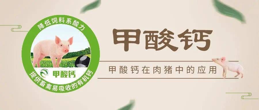 金龙鱼郭氏家族：金龙鱼郭氏家族的起源 水族问答 第2张