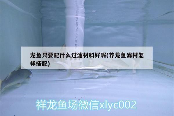 养龙鱼需要哪些滤材：生化过滤滤材,其他滤材的日常维护方法,如何选择合适的龙鱼滤材 龙鱼百科 第3张