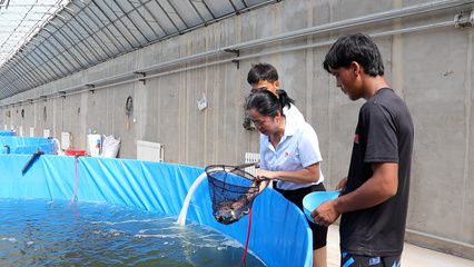 新宠之康鱼缸养什么鱼比较好：新宠之康鱼缸养什么鱼好 鱼缸百科 第4张