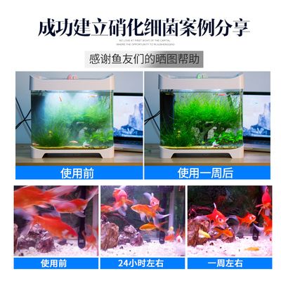 海豚鱼缸：海豚鱼缸价格范围，海豚鱼缸设计风格 鱼缸百科 第4张