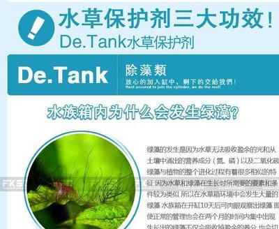 鱼缸除藻类：关于鱼缸除藻的一些详细信息 鱼缸百科 第2张