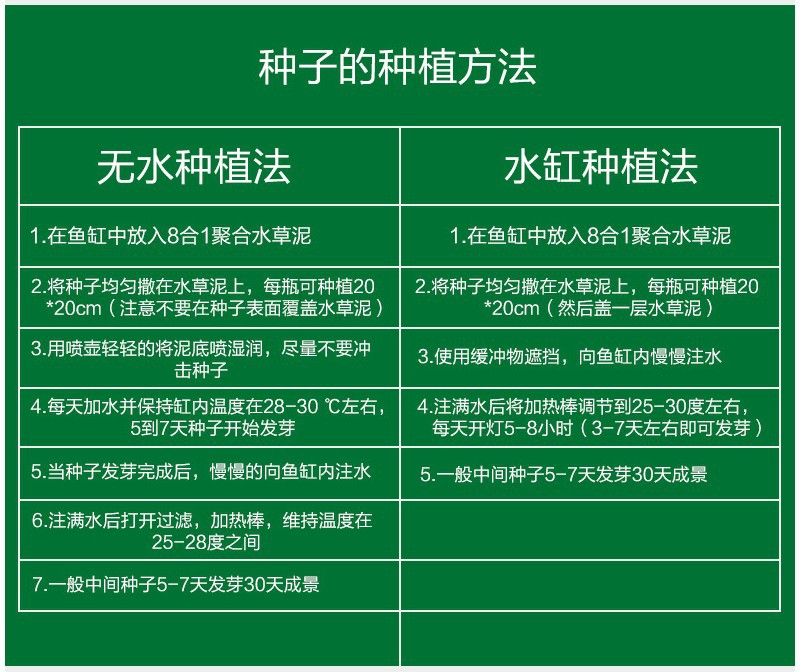 鱼缸彩叶草的养殖方法和注意事项视频教程：彩叶草的养殖方法和注意事项 鱼缸百科 第5张