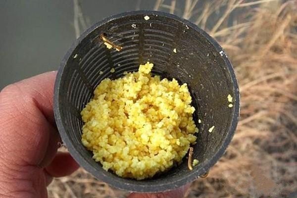 金龙鱼好还是长寿花：金龙鱼和长寿花的植物油有什么区别？ 水族问答 第1张