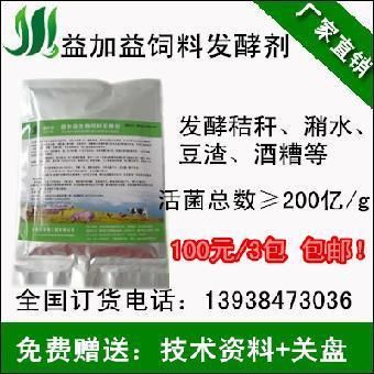 金龙鱼好久不吃会饿着吗：在探讨金龙鱼长时间未进食是否会感到饥饿之前需要明确 水族问答