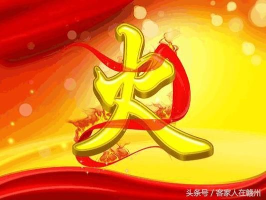 金龙鱼和红龙鱼区别是什么：金龙鱼和红龙鱼在外观上有哪些显著的区别，新手饲养金龙鱼更容易上手 水族问答