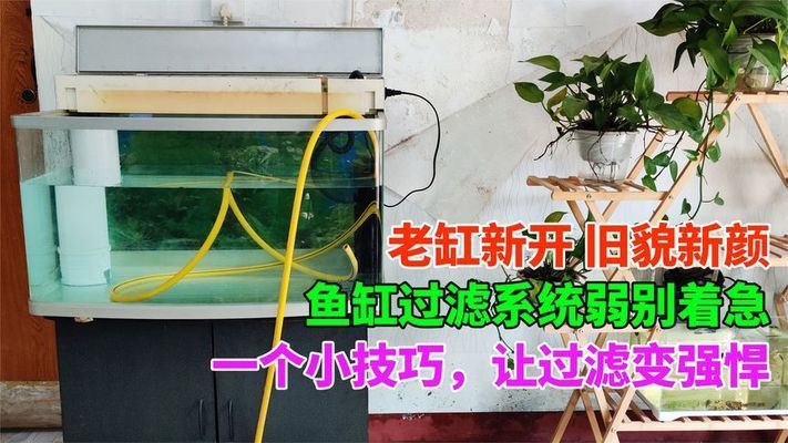 佳宝鱼缸改装过滤系统：佳宝鱼缸改装过滤系统是一种高效、环保的水处理方案 鱼缸百科 第1张