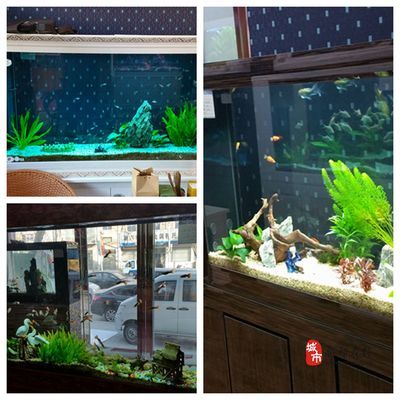 亮点鱼缸售后客服电话：亮点水族鱼缸售后客服电话 鱼缸百科 第5张