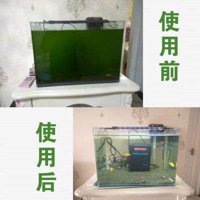 鱼缸过滤系统选型指南：鱼缸过滤器选型指南