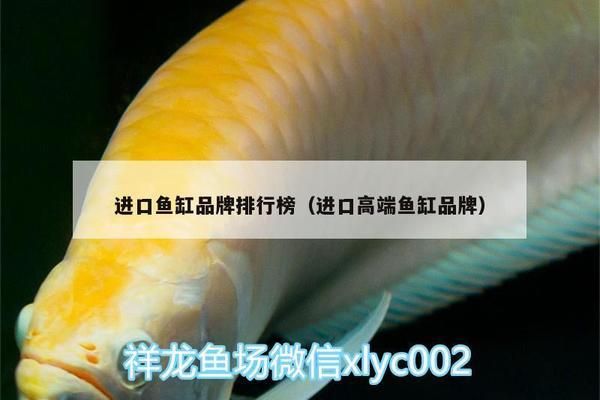 高端鱼缸有哪些牌子的好：知名的高端鱼缸品牌 鱼缸百科 第5张