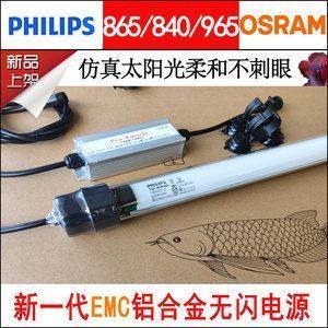 龙鱼养殖基地视频介绍：龙鱼养殖基地的视频介绍涵盖了从基地选址、运营模式到具体养殖技术的各个方面 龙鱼百科 第2张