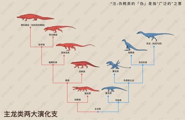 金龙鱼黑色背景增加金质效果 水族问答 第1张