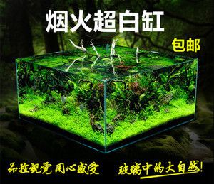 金晶鱼缸哪里生产的：标题:金晶鱼缸产地分析 鱼缸百科 第5张