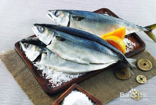 金龙鱼蝴蝶鲤混养：金龙鱼和蝴蝶鲤可以混养吗？ 水族问答 第2张