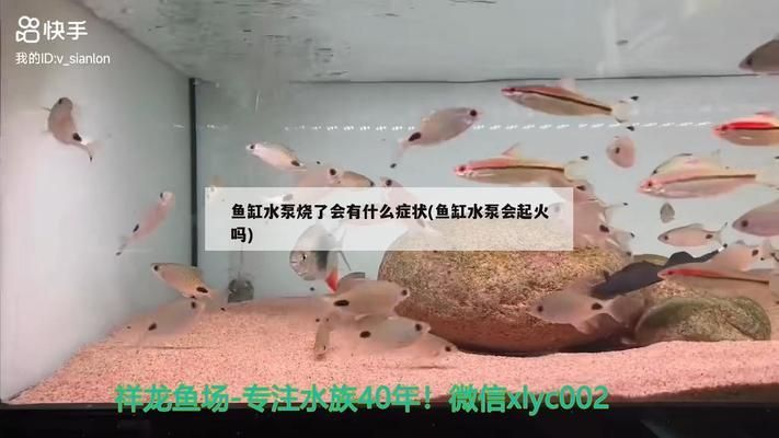 鱼缸水泵不运行了是烧了吗：鱼缸水泵不运行可能是多种原因引起鱼缸水泵不运行的原因 鱼缸百科 第2张