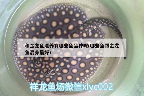 鱼缸底座柜子安装：鱼缸底座柜子安装方法