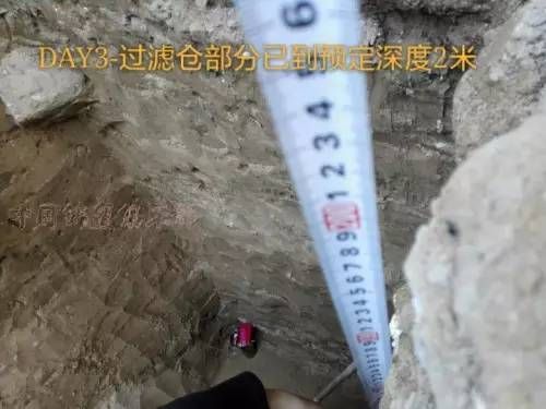 金龙鱼级别的区分是什么：关于金龙鱼级别的问题 水族问答 第2张