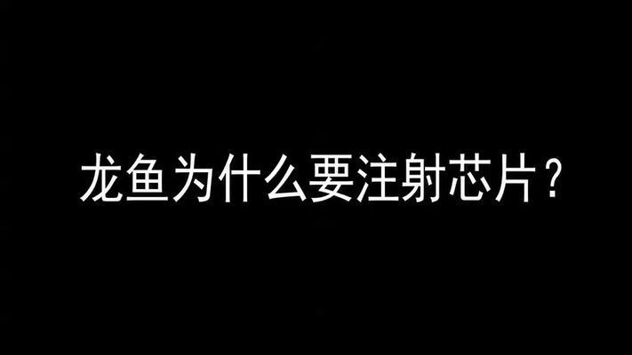 红龙鱼的芯片是怎么回事：关于红龙鱼芯片的详细介绍 红龙鱼百科 第1张