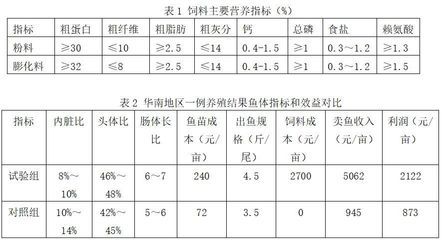 金龙鱼几年能繁殖后代：金龙鱼的繁殖周期有多长？ 水族问答 第1张