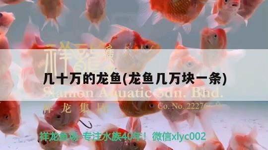 意牌鱼缸厂家联系方式电话：意牌鱼缸厂家联系方式 鱼缸百科 第5张