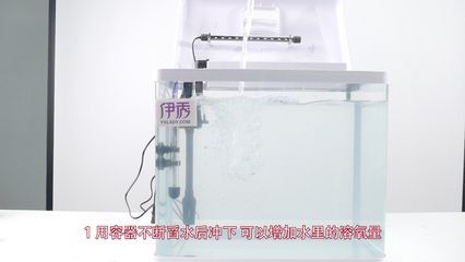 如何监测鱼缸内的溶氧量：如何自然提高鱼缸溶氧量 鱼缸百科 第1张