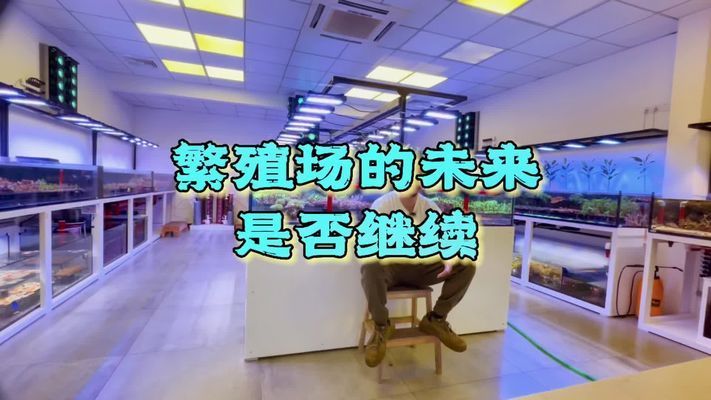 鱼缸珊瑚的养殖方法视频：珊瑚在鱼缸中的养殖方法