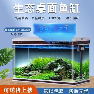 美之海鱼缸和创海鱼缸那个好？吗：美之海鱼缸和创海鱼缸各有特色 鱼缸百科 第1张