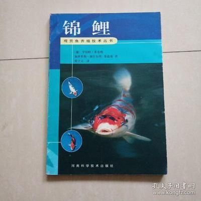 祥龙水族馆培训内容介绍：祥龙水族馆培训学校 龙鱼百科 第2张