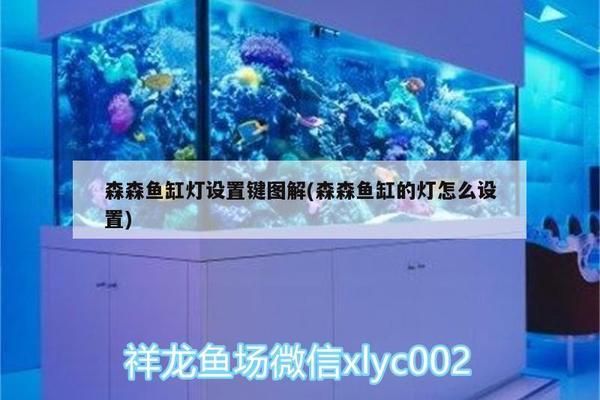 森森鱼缸灯设置方法：森森鱼缸灯怎么设置 鱼缸百科 第1张