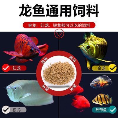 龙鱼鱼食哪个牌子好吃点：红龙鱼饲料选购指南红龙鱼饲料选购指南