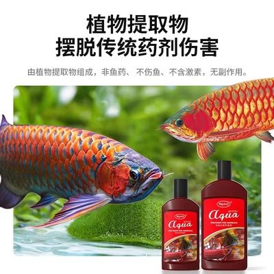 龙鱼蒙眼后期怎么治理：龙鱼蒙眼后期治疗方法 龙鱼百科 第5张