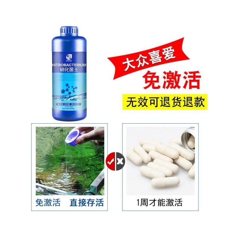 鱼缸净水剂有效果吗：鱼缸净水剂的副作用有哪些 鱼缸百科 第5张