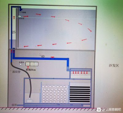 鱼缸底滤组装教程：鱼缸底滤版选择技巧,鱼缸底滤与上滤对比，鱼缸底滤常见问题解决 鱼缸百科 第3张