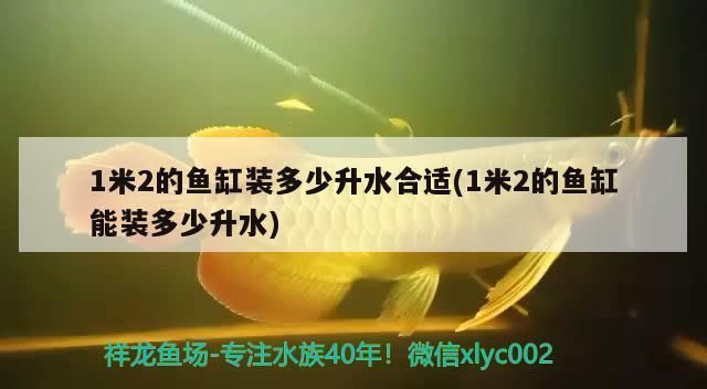 森森牌鱼缸最新款一米二的：一米二鱼缸适合养什么鱼森森新款鱼缸价格对比 鱼缸百科 第2张