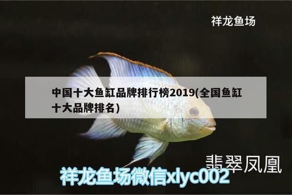 全国鱼缸排行榜：全国水族箱品牌排名 鱼缸百科 第4张