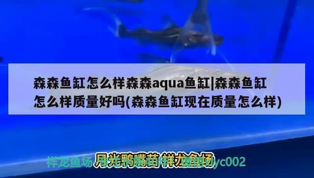 森森水族鱼缸怎么样：森森水族鱼缸与其他品牌的对比 鱼缸百科 第4张