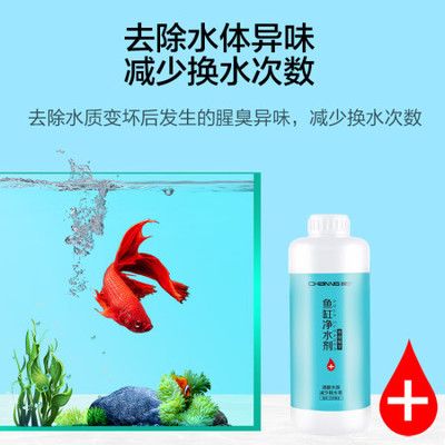 鱼缸净水剂哪个牌子好：鱼缸净水剂品牌的选择对维持水质至关重要海豚popos